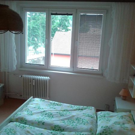 Apartman Csa Františkovy Lázně 外观 照片